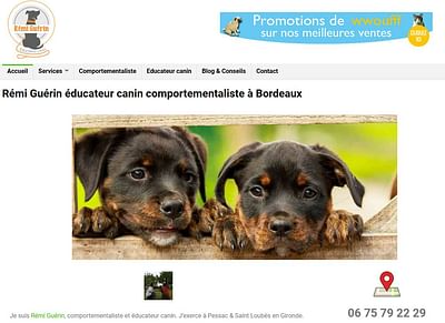 Création d'un site pour un dresseur de chien - Création de site internet