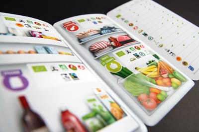 Ecolo: infographies - Grafikdesign