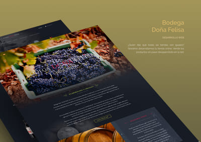 Bodega en internet - E-commerce