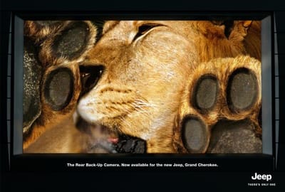 LION - Publicité