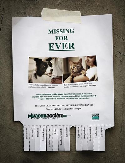 Missing for Ever - Reclame