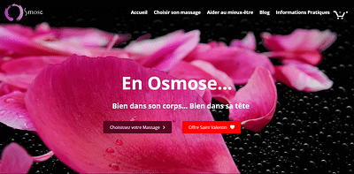 Osmose Massage - Réalisation de l'agence In-sphere - Publicité en ligne