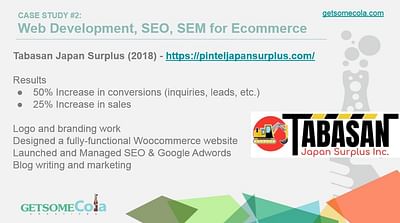 eCommerce Web Development + SEO + Adwords - E-commerce
