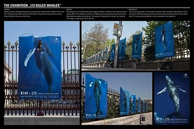 172 WHALES - Reclame