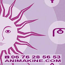 Creation site Web Paris, Ile de France, France - Animakine.com logo