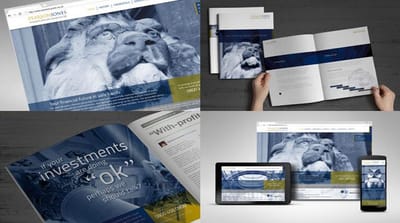 Website and rebrand - Website Creation