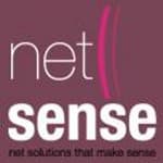 Netsense logo