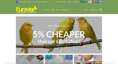 Euravian - Bird E-Commerce Website - Webseitengestaltung