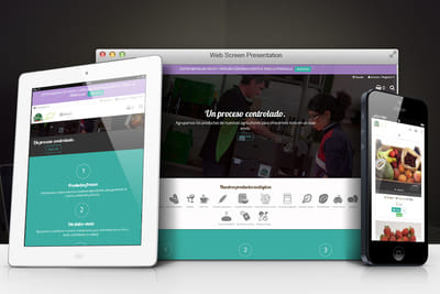 Ecommerce para tienda de productos ecológicos - E-commerce