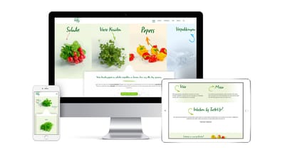 Webdesign & SEO - SEO
