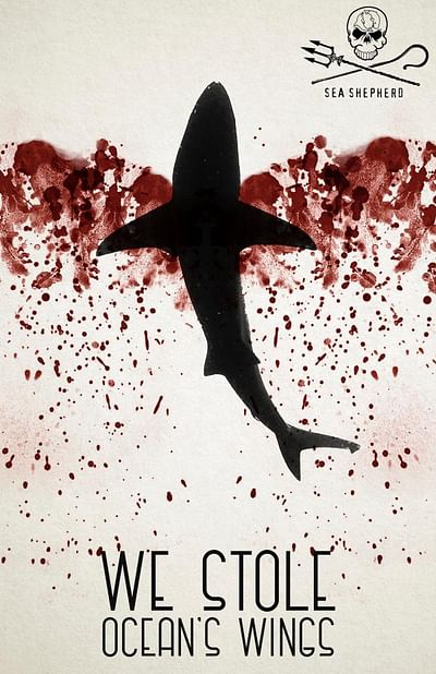 Ocean's wings, 3 - Publicidad