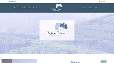 Pauline Passeri Naturopathe - Website Creation