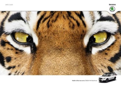Tiger - Publicité