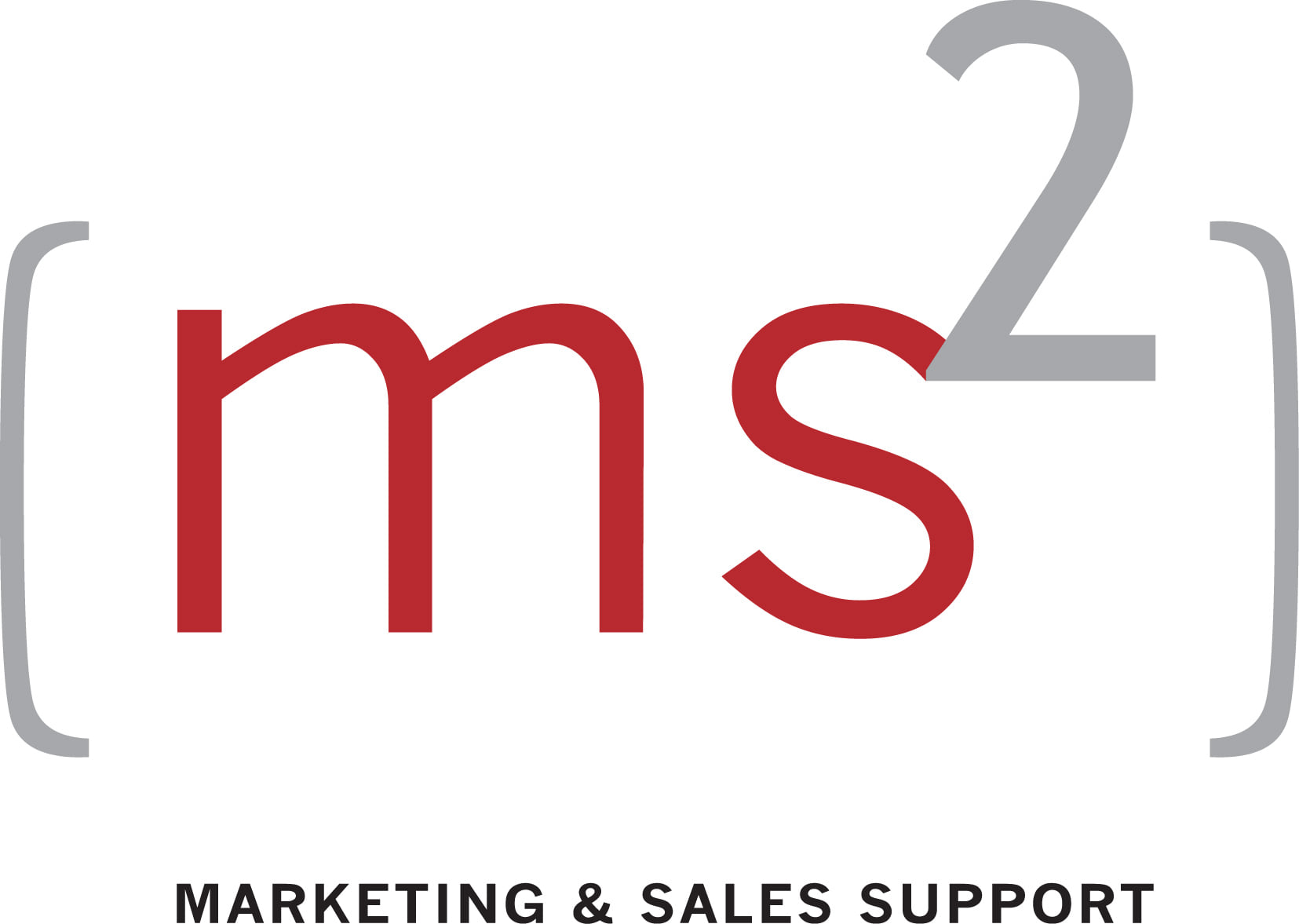 MS2 - Marketing and Sales Support
