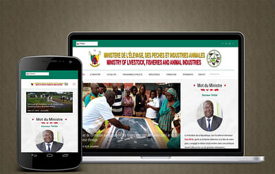Création du site web du MINEPIA Cameroun - Graphic Design