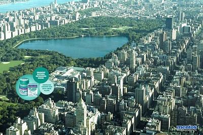 Central Park (New York) - Stratégie digitale