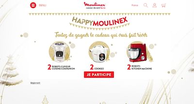 Site web promotionnel pour le Groupe Seb/ Tefal - Application mobile