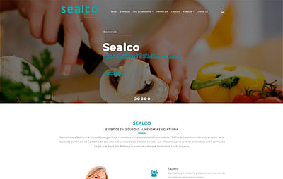 Proyecto Sealcosg.com - SEO