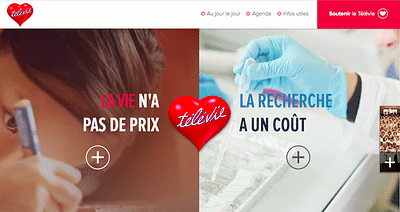 Website Télévie - Web Applicatie