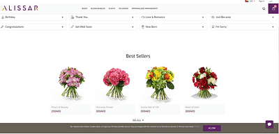 E-commerce Website design - Website Creation
