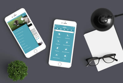Wakyma - Cuida de tu Mascota - App móvil