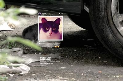 Petstagram, #prrrprrrprrr - Reclame