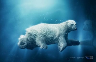 POLAR BEAR - Advertising