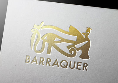 Diseño gráfico para Barraquer - Diseño Gráfico