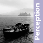 Perception Sales & Marketing Ltd logo