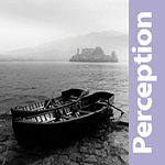 Perception Sales & Marketing Ltd