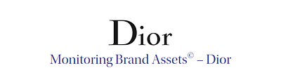 Monitoring Brand Assets© – Dior - Image de marque & branding