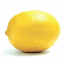 Dutch Designs with lemon logo