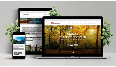 PAGINAS  WEBS  PROFESIONALES, creaciones - Online Advertising