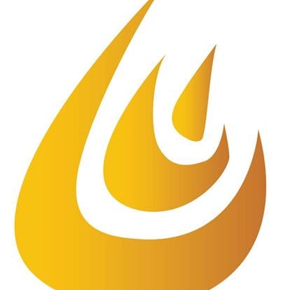 The TORCH Program, Inc.