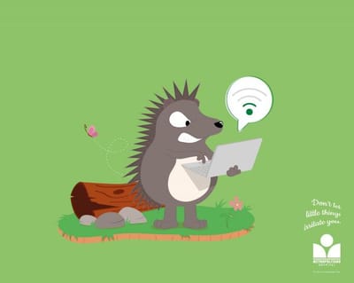 Little Things, Hedgehog - Publicité