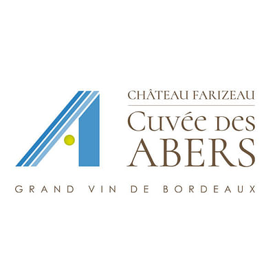 Audit et support de communication Château Farizeau - Webseitengestaltung