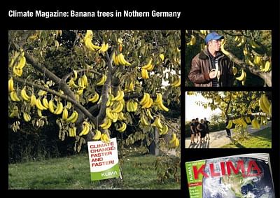 BANANA TREES IN NORTHERN GERMANY - Advertising
