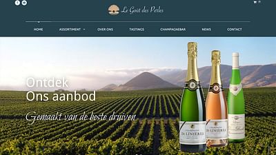 Webshop voor Champagne leverancier - Website Creatie
