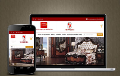 Création du site du Groupe ANACONDA - E-commerce