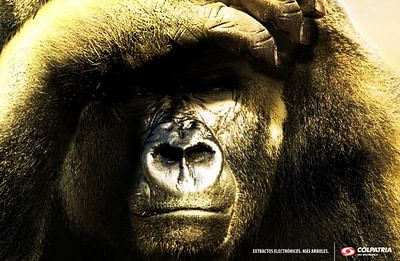 Gorilla - Publicité