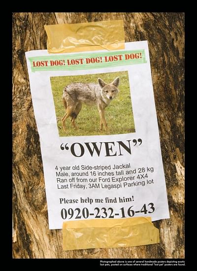 OWEN - Advertising