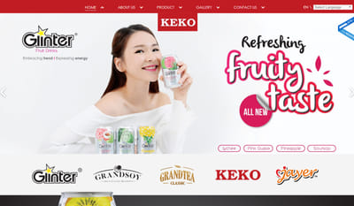 Keko Group - Corporate Website - Website Creation