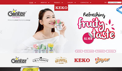 Keko Group - Corporate Website - Website Creatie