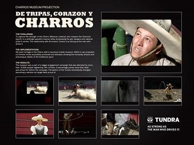CHARROS MUSEUM PROJECTION - Advertising