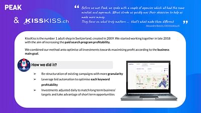 Case Study No2: KissKiss.ch - Publicité en ligne