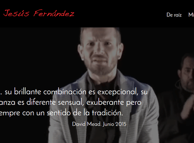 Página web oficial artista flamenco - Estrategia digital