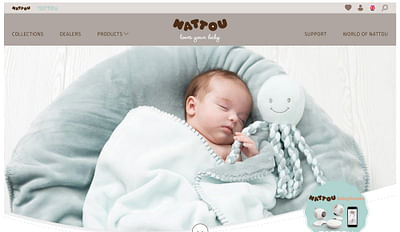 Website ontwikkeling voor Nattou.eu - Creazione di siti web