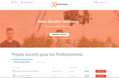Rezodrone - Website Creatie