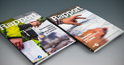 Annual Report and beyond - Content Strategy