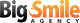 BIG SMILE AGENCY